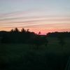 thrifty_37